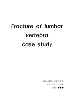 lumbar vertebra fracture case study