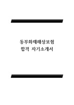 동부화재해상보험 최종합격 자기소개서(자소서, 동부화재 자소서)