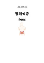 성인간호학 실습  장폐색