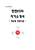 한국전력 한전 KDN 신입사원 채용형 인턴사원 채용 자기소개서
