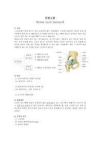 대퇴골 경부골절(성인) 문헌고찰