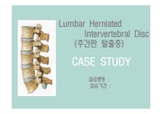 Lumbar Herniated Intervertebral Disc 추간판 탈출증 CASE STUDY