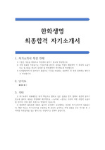 한화생명 공채 합격 자기소개서(한화생명 우수 자기소개서 예문)