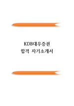 KDB대우증권 공채 합격 자기소개서(우수예문)