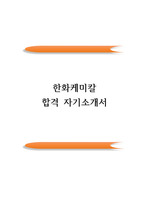 한화케미칼 공채 합격 자기소개서(자소서 우수 예문)