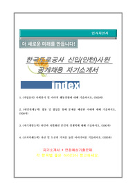 한국도로공사 신입(인턴)사원 자기소개서