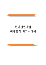 현대산업개발 공채 합격 자기소개서(현대산업개발 우수 자소서 예문)