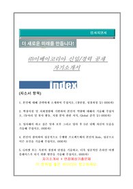 이베이코리아 자기소개서