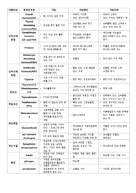 [A+ 자료] 성인 내분비계 정리