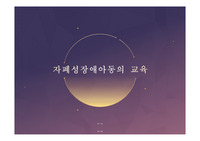 [A+ 자료] 특수교육 피피티