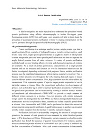 분자생물학기초실험/ 분자생명공학기초실험 9주차: Protein Purification [A+ 리포트]