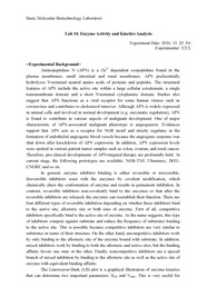 분자생물학기초실험/ 분자생명공학기초실험 10주차: Enzyme Activity and Kinetics Analysis [A+ 리포트]