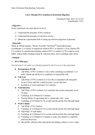 분자생물학기초실험/ 분자생명공학기초실험 5주차: Plasmid DNA Isolation &amp; Restriction Digestion [A+ 리포트]