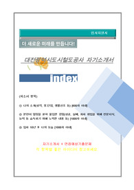 대전광역시도시철도공사 자기소개서
