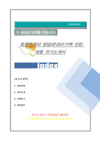 참좋은레져 영업/관리/IT기획 인턴 자기소개서