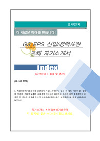 GS EPS 회계 및 총무 자기소개서
