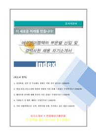 에이케이켐텍 자기소개서