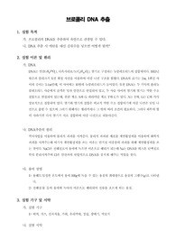 [일반생물학실험]브로콜리 DNA 추출