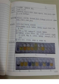 [미생물학및실험 레포트 A+] 미생물의 생화학적 동정