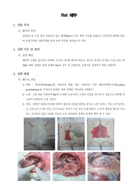 [해부학실험]Rat 해부