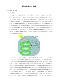 [일반생물학실험]광합성 색소의 관찰