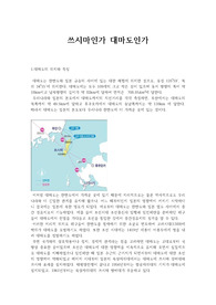 쓰시마 섬과 대마도- 대마도가 우리영토라는 당위성, 역사적 자료를 근거로 한 체계적 분석- 상산고 과제 A+