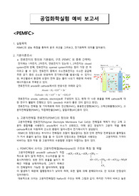 [A+ 보고서] PEMFC, DSSC 예비보고서