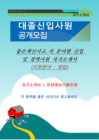 좋은책신사고 각 분야별 신입 및 경력사원 자기소개서, (지원분야 : 영업)