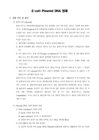 E-coli Plasmid DNA 정제
