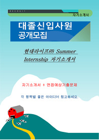현대라이프㈜ Summer Internship 자기소개서