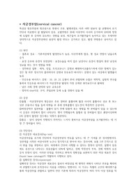A+받은 자궁경부암 문헌고찰 Uterine Cervical Cancer