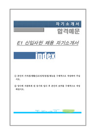 E1 신입사원 채용 자기소개서