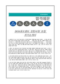 SK브로드밴드 인턴사원 모집 자기소개서