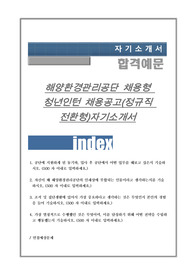 해양환경관리공단 채용형 청년인턴 채용공고(정규직 전환형)자기소개서