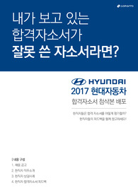 현대자동차 합격자소서 가이드북 (첨삭 포함)