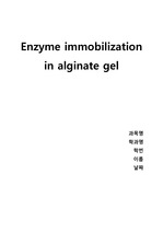 [A+레포트]고정화 효소 제조 및 활성도 측정 (Enzyme immobilization in alginate gel)
