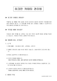 히크만 카테터