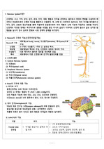 [성인간호학] 신경계, 두개내압 요약