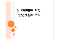 침전법에 의한 탄산칼슘의 제조 결과세미나