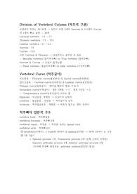 해부학 뼈, 관절
