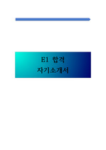 E1 최종합격 현직자 자소서