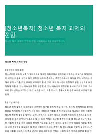 [청소년복지] 청소년 복지 과제와 전망.