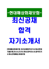 [현대해상화재보험-최신공채합격자기소개서]면접기출문제,자소서,자기소개서,합격자소서,합격자기소개서,현대해상,화재보험