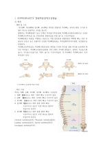 kyphoplasty 문헌고찰~ 수술 프로시져