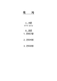 아동 폐렴 케이스-다량의 분비물과 관련된 비효율적 기도청결, 잦은 설사 및 구토와 관련된 체액부족 위험성