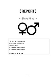 [A+ 만점 레포트]  청소년과 성(청소년 성매매, 청소년 성폭력, 청소년 미혼모)