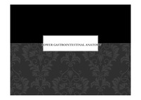 Anatomy - Lower GI