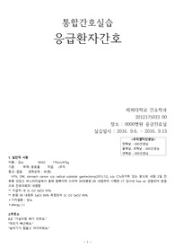 응급실 병원 임상 실습 보고서 (응급진료실 파이널)