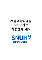 2017 서울대학교병원 합격 자기소개서 / 스펙: 수도권4(자대유) 3.97/4.5(6.8%) 토익 940