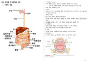 성인간호학 위장관계 질환과 간호